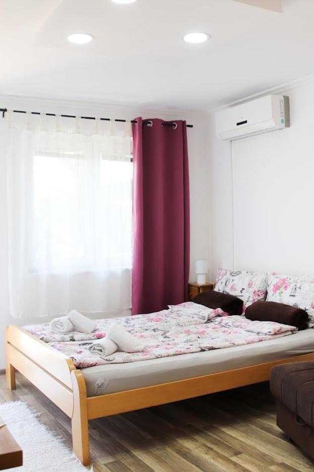 Charming Studio Masa Палич Екстер'єр фото