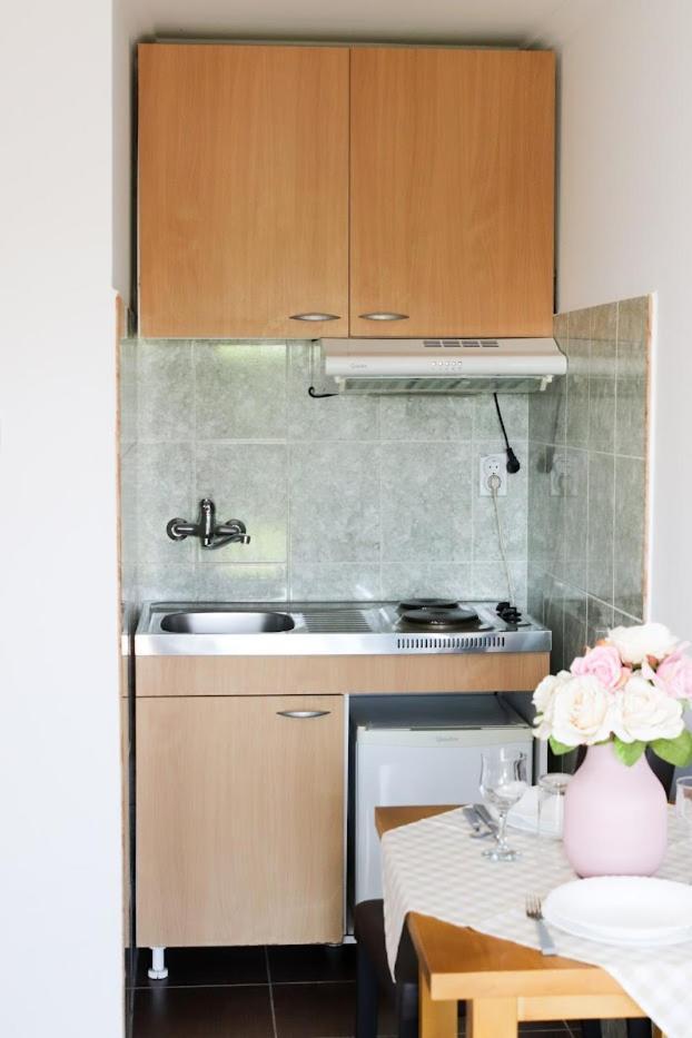 Charming Studio Masa Палич Екстер'єр фото